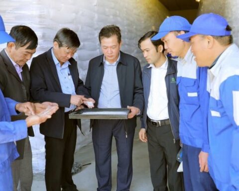 Chi cục Dự trữ Nhà nước khu vực III: Xây dựng kho dự trữ “An toàn – Xanh – Sạch – Đẹp”