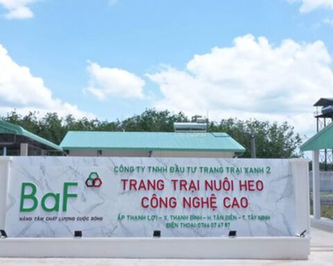 BaF Việt Nam chốt ngày tổ chức ĐHĐCĐ thường niên năm 2026