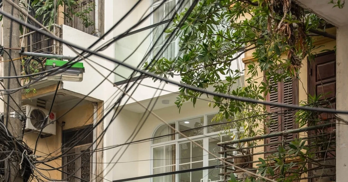 Những ‘đường cong mềm mại’ tạo dấu ấn cho nhà mặt ngõ