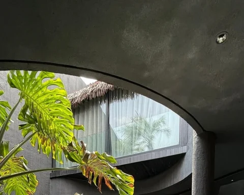 Ngôi nhà tông màu đen như ‘ốc đảo’ giữa lòng thành phố