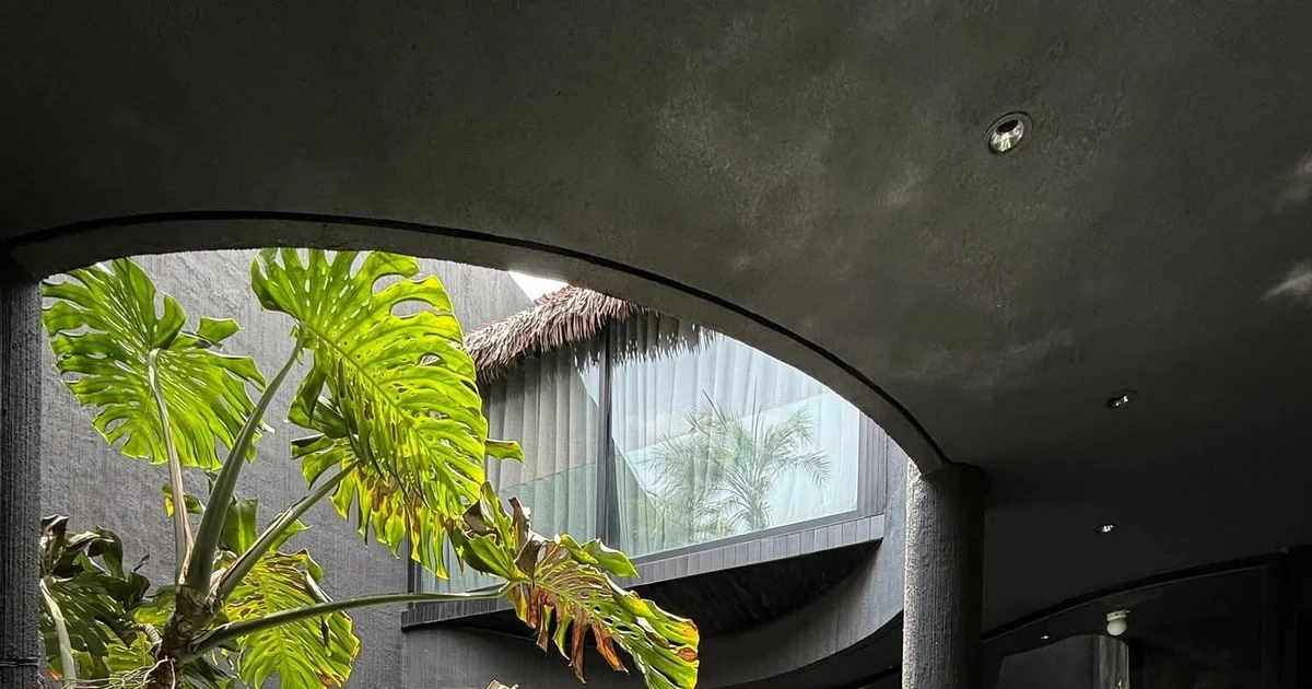 Ngôi nhà tông màu đen như ‘ốc đảo’ giữa lòng thành phố