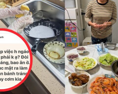 “Các bà giúp việc ngáo giá phải không ạ? Đòi 12 – 15 triệu bao ăn ở trong khi đại học ra đi làm lương 8 triệu”