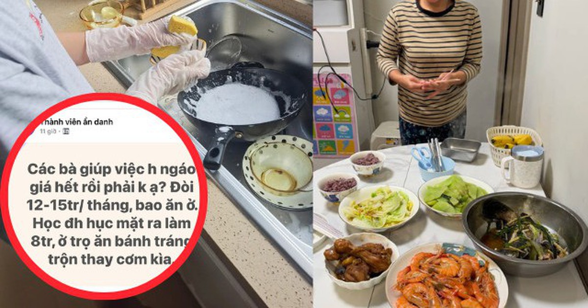 “Các bà giúp việc ngáo giá phải không ạ? Đòi 12 – 15 triệu bao ăn ở trong khi đại học ra đi làm lương 8 triệu”