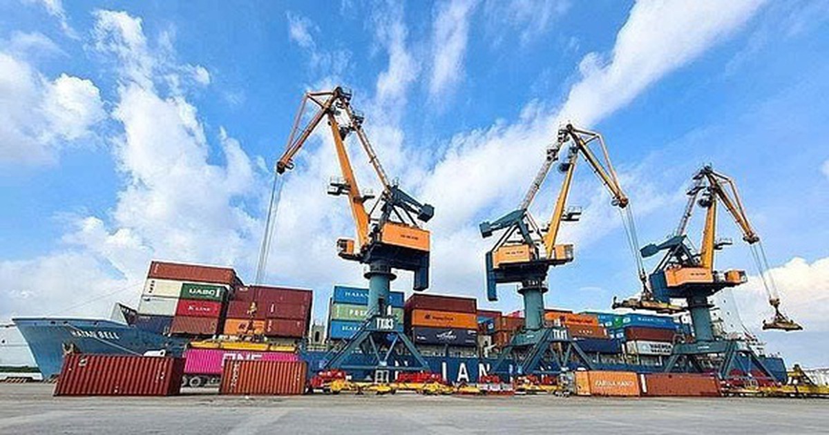 Xếp dỡ Hải An chốt ngày phát hành 2,5 triệu cổ phiếu ESOP