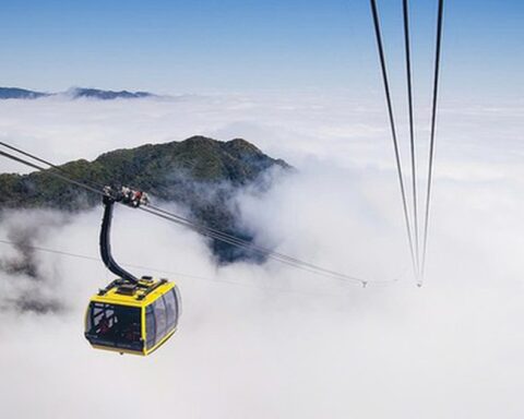 Cáp treo Fansipan Sa Pa báo lãi gần 29 tỷ đồng trong năm 2025