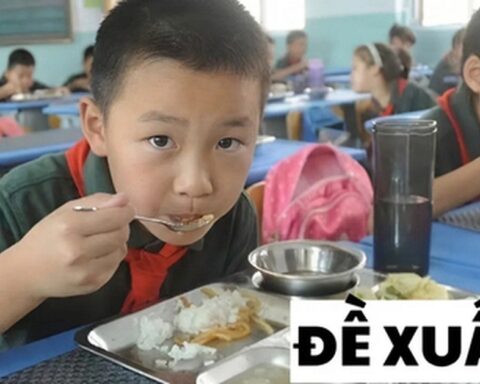 Mất ngủ cả đêm vì vụ 26 trường sử dụng thịt lợn bênh, tôi mạnh dạn ĐỀ XUẤT 3 giải pháp để “thanh tẩy” bữa cơm học đường!