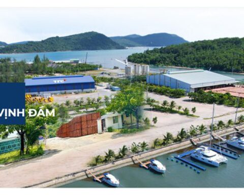 Doanh nghiệp liên quan đến TTC Land báo lãi ròng năm 2025 gần 6,6 tỷ đồng