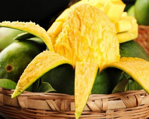 Loại quả giúp xóa mờ nếp nhăn, cải thiện làn da, hiện đang vào mùa