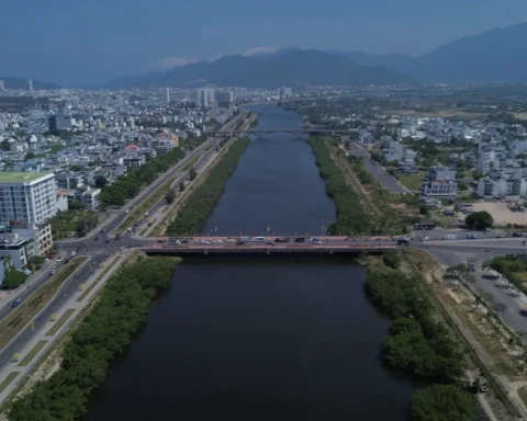 Nên chặt hay giữ hàng cây xanh dọc hai bờ sông Quán Trường ở Nha Trang?