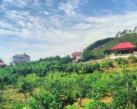 Loại đất và hạn mức công nhận đất ở sau sáp nhập