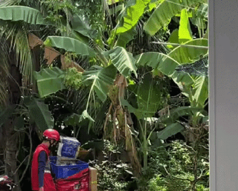 Shipper thái độ ra mặt, liệng gói hàng đánh bộp: Cả trăm lời khuyên rate 1 sao nhưng khách không dám
