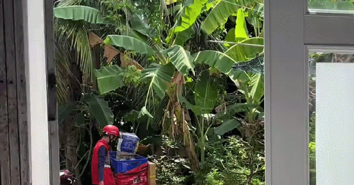 Shipper thái độ ra mặt, liệng gói hàng đánh bộp: Cả trăm lời khuyên rate 1 sao nhưng khách không dám