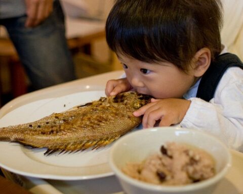 Những loại cá có nguy cơ chứa nhiều kim loại nặng cao, trẻ nhỏ nên hạn chế ăn