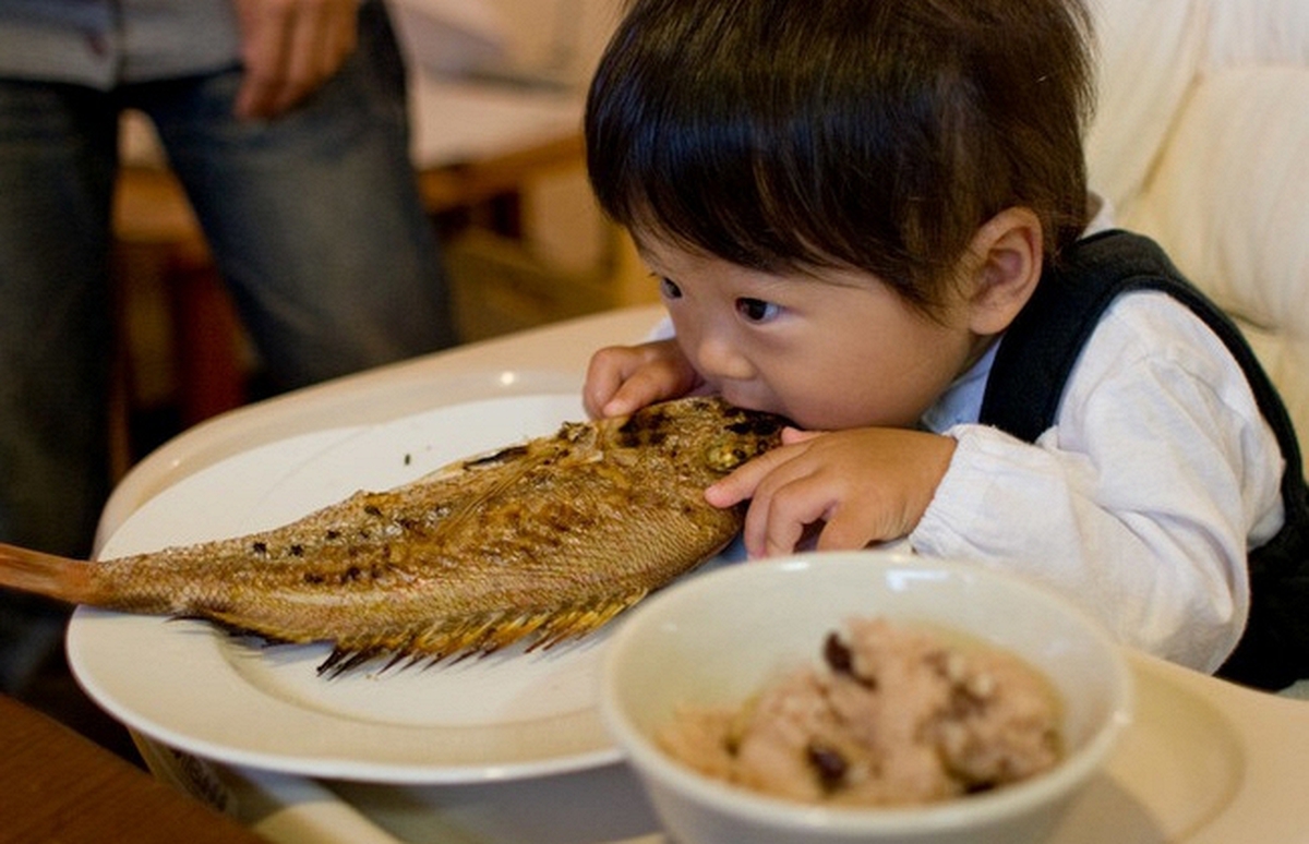 Những loại cá có nguy cơ chứa nhiều kim loại nặng cao, trẻ nhỏ nên hạn chế ăn