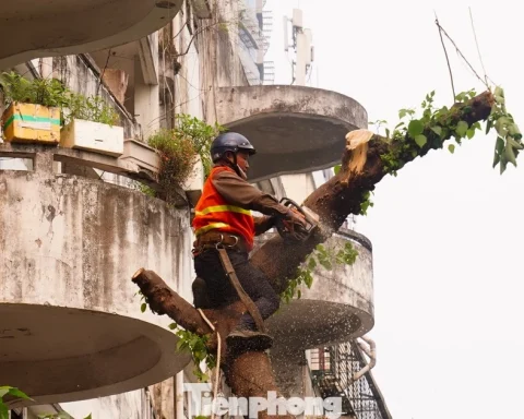 Hà Nội phá dỡ chung cư 51 Huỳnh Thúc Kháng sau 35 năm