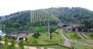 Thanh Hóa xin gỡ “nút thắt” cho công viên sinh thái tre luồng 300 tỉ đồng