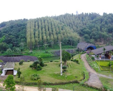 Thanh Hóa xin gỡ “nút thắt” cho công viên sinh thái tre luồng 300 tỉ đồng