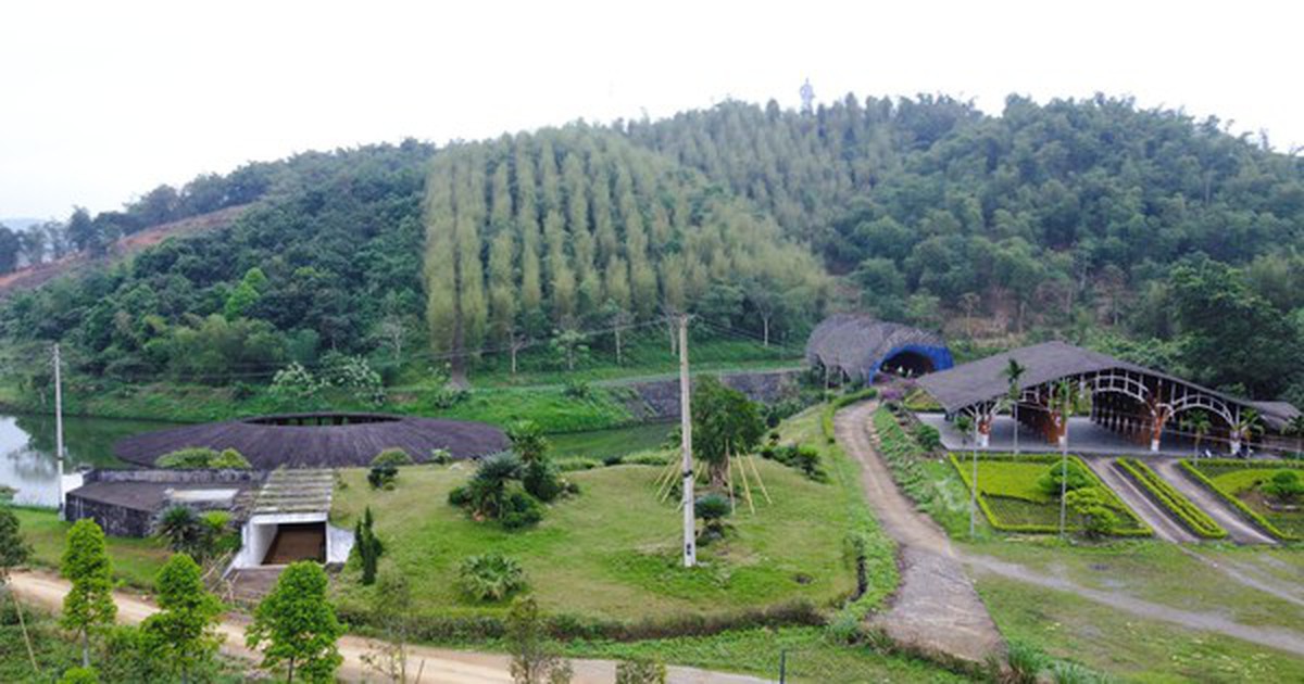 Thanh Hóa xin gỡ “nút thắt” cho công viên sinh thái tre luồng 300 tỉ đồng