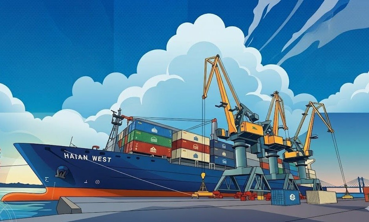 CTCP Vận tải và Xếp dỡ Hải An bị đưa vào diện kiểm tra thuế