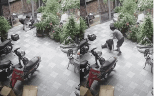 Chồng giật tóc, đấm đá vợ dã man, con nhỏ chứng kiến cảnh tượng đau lòng: Đoạn clip khiến cộng đồng mạng phẫn nộ