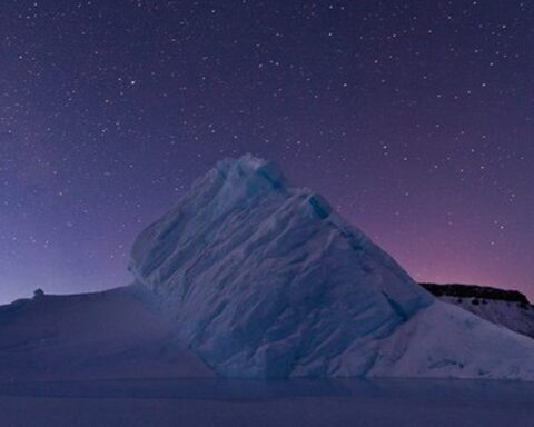 Thế giới sắp vĩnh viễn mất đi 1 màu sắc