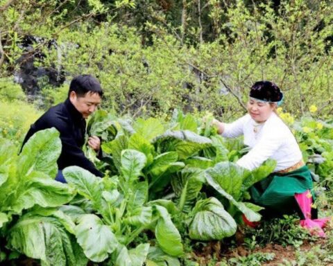 Giải ngân chương trình mục tiêu quốc gia: Nỗ lực cho mục tiêu “không ai bị bỏ lại phía sau”