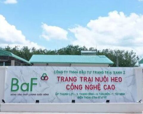 Nông nghiệp BAF hướng đến mức lợi nhuận kỷ lục, chia cổ tức và cổ phiếu thưởng tổng tỷ lệ 20%
