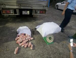 Kinh hoàng phát hiện 12,24 tấn chân lợn đông lạnh bốc mùi hôi thối: Chủ kho hàng SN 1993 khai gì?