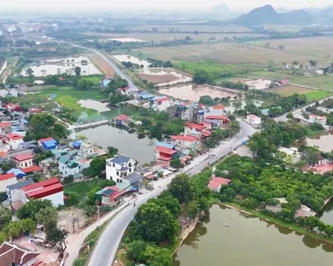 Hà Nội: Chuẩn bị đấu giá hơn 52ha đất nông nghiệp công ích, khởi điểm 775 đồng/m2/năm