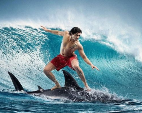 MASVN: Có cơ sở để giả định rằng VN-Index đã tạo đáy