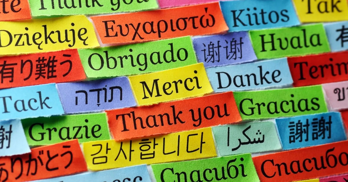 3 ngoại ngữ “vàng” giúp bạn nắm giữ lợi thế chiến lược trong 5 năm tới, không lo bị AI thay thế