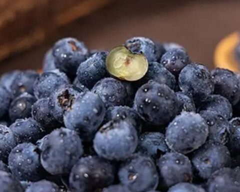 Người phụ nữ 61 tuổi kiên trì ăn việt quất mỗi sáng suốt 4 năm, kết quả khám khiến bác sĩ gật gù