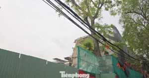 Phạt 200 triệu đồng đơn vị gây ‘bão bụi’ giữa Hà Nội