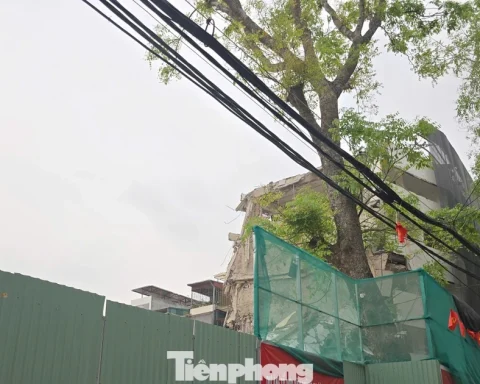 Phạt 200 triệu đồng đơn vị gây ‘bão bụi’ giữa Hà Nội