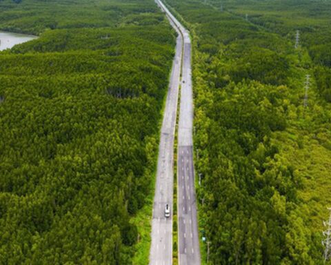 TPHCM: Nghiên cứu mở rộng đường Rừng Sác lên 8 làn xe