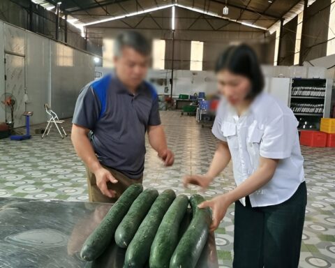 Tiết lộ khoản “hoa hồng” cho hiệu trưởng để tuồn thịt lợn bệnh vào trường học