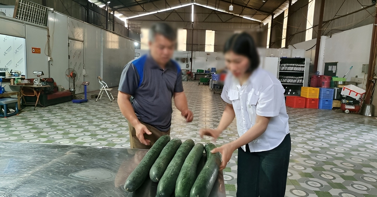 Tiết lộ khoản “hoa hồng” cho hiệu trưởng để tuồn thịt lợn bệnh vào trường học