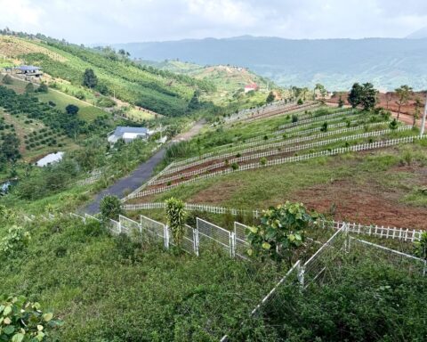 Đất nền phân lô ‘chôn vốn’ 4 năm, rao bán cắt lỗ không ai mua