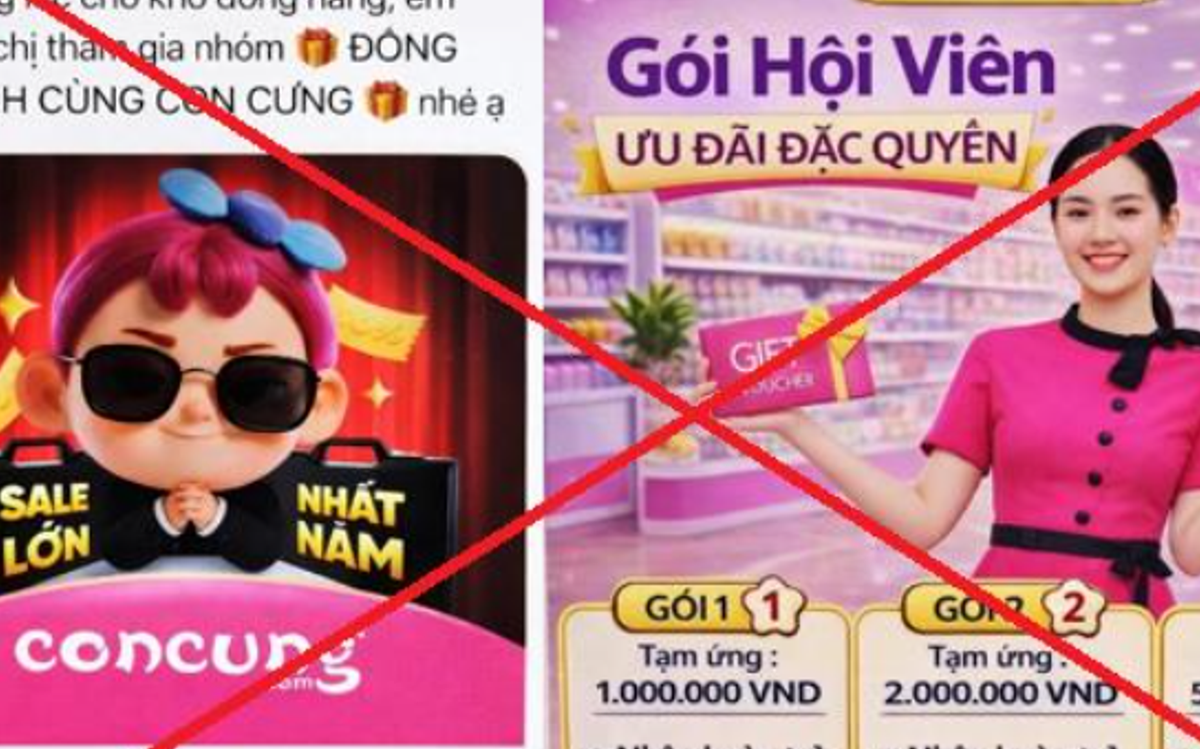 Sập bẫy nhóm “Đồng hành cùng Con Cưng”, người phụ nữ ở Hà Nội mất gần 1 tỷ đồng