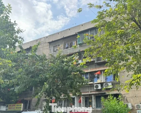 TPHCM ‘thúc’ tiến độ cải tạo chung cư cũ