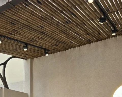 Nhà phố dành tới 20m2 làm sân vườn và kết quả xứng đáng