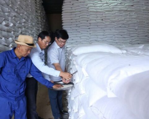 Đấu thầu mua 300.000 tấn gạo năm 2026: Đảm bảo cạnh tranh, công bằng, minh bạch