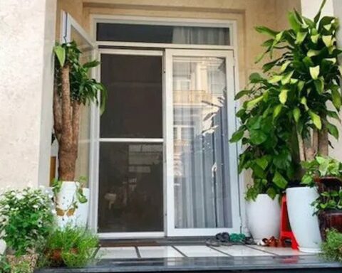 Lời khuyên cho những gia đình đang trồng cây trước cửa