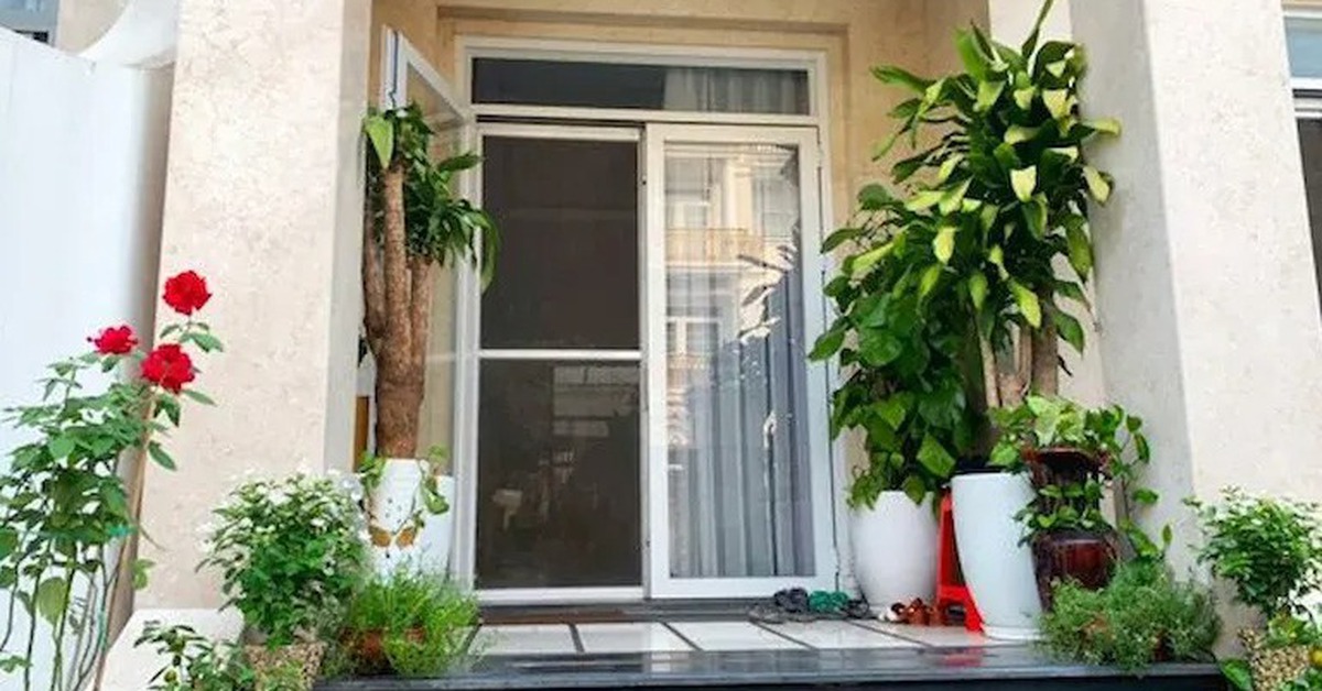 Lời khuyên cho những gia đình đang trồng cây trước cửa
