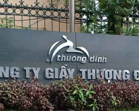 Vinaconex tính mua cổ phần của Giầy Thượng Đình
