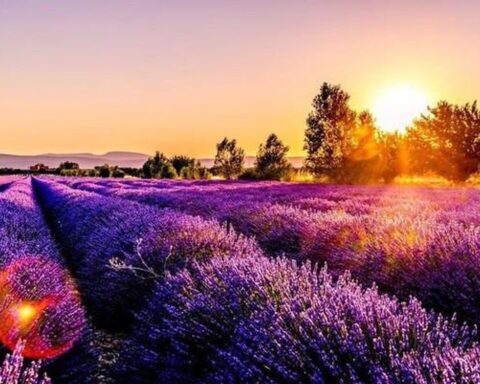 Một doanh nghiệp báo lãi quý 1 gấp 18 lần, vượt kế hoạch năm, cổ phiếu lập tức “tím lịm”