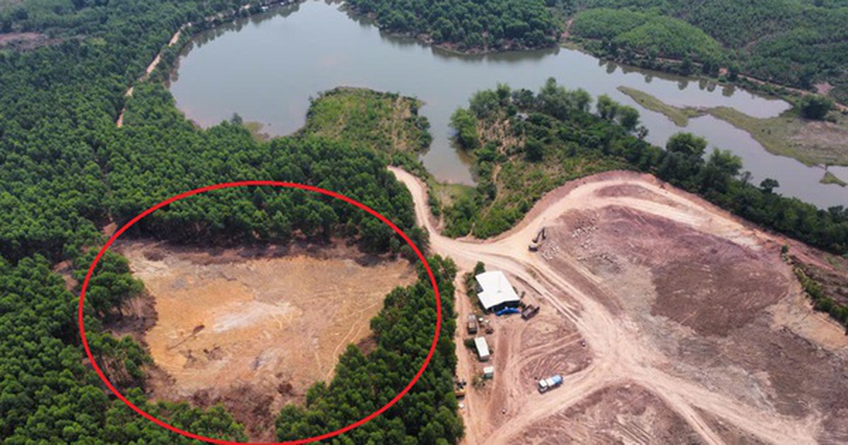 “Đất tặc” ở Đà Nẵng bị phạt, tịch thu gần nửa tỉ đồng