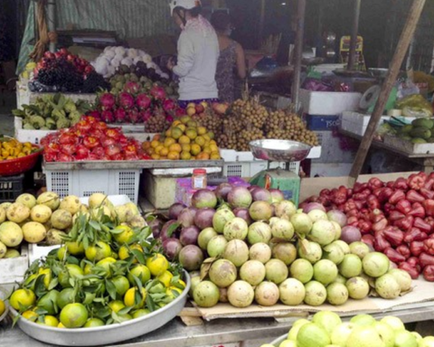 Top 5 loại quả mùa hè dễ “ngậm” thuốc trừ sâu nhất