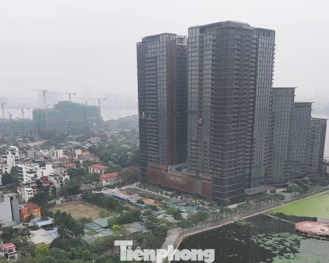 Cận cảnh khu đất làm công viên sinh thái sát Hồ Tây