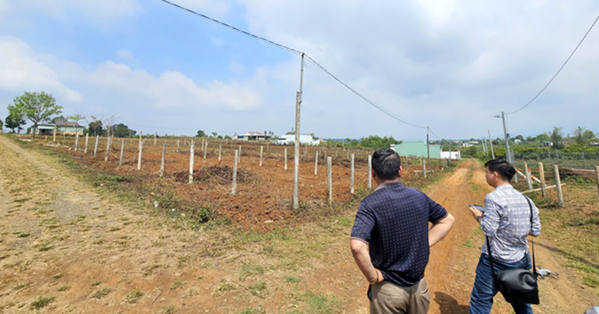 Mua bán đất ở Gia Lai diễn biến phức tạp